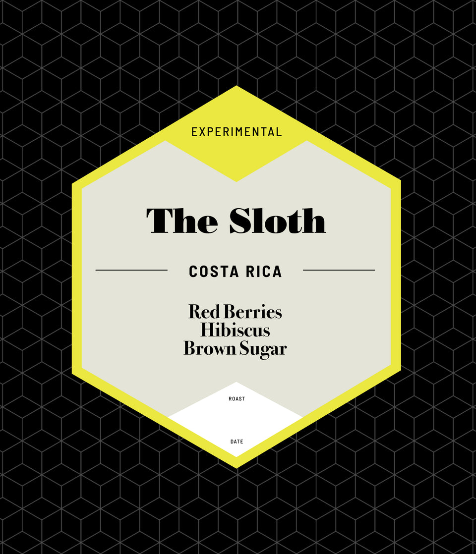 The Sloth