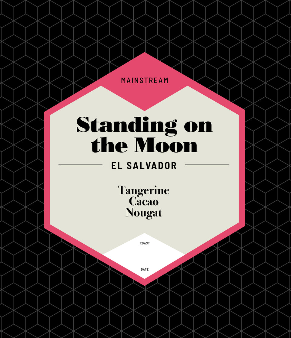 Standing on the Moon