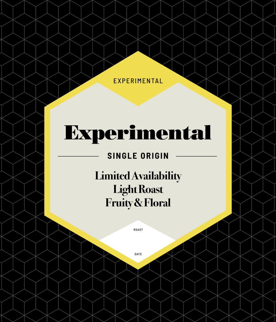 Experimental Genre (Homepage)